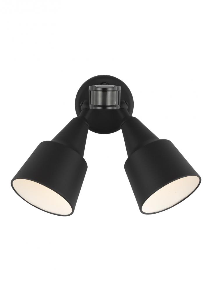 Generation Lighting Outdoor Flood Light