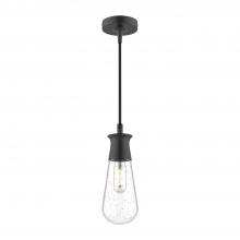 Alora Lighting EP464001BKCB - Marcel 4-in Clear Bubble Glass/Textured Black 1 Light Exterior Pendant