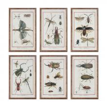 MULTI INSECTS