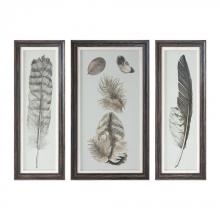 FEATHER STUDY