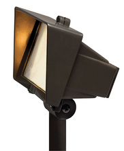 Hinkley 1521BZ - Flood Light with Frosted Lens